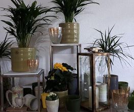 Blumeneck Patricia Groh Bild 1