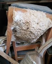 KH Anti-Nuisibles 3D image 11