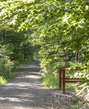FriedWald Planitzwald Bild 10
