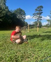 Spears Family Farm image 4