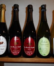 Bigot Hélène image 3