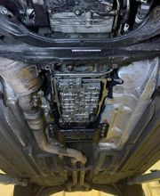 Tigers Rennstall Bild 4