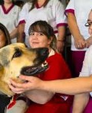 VITALIA HOME | Residencia de Ancianos San Clemente imagen 4