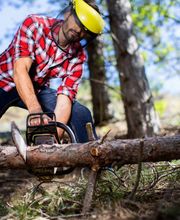 Vista Valley Tree Service Inc image 15