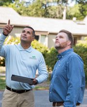SavATree - Tree Service image 11