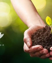 Engrais Plantin image 3