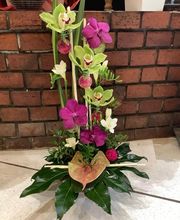 A Fleur De Pot image 19