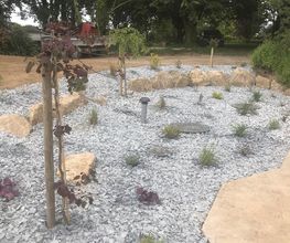 Crea Verde image 3