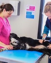 Clinique véterinaire des trois fontaines image 9