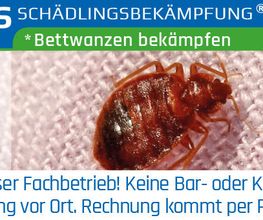 Klavier Zähringer Bild 8
