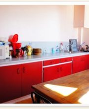 Bourgogne Moniot Nié image 11