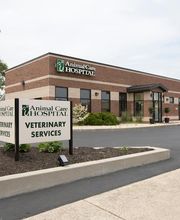 Animal Care Hospital of Morris Inc image 2