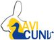 Avi-Cuni Services