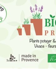 Bioflore Provence Pépinière & Horticulture image 2