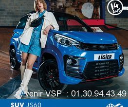 Voiture Sans Permis image 14
