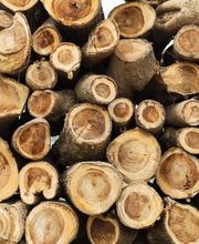 Allegre Sebastien image 1