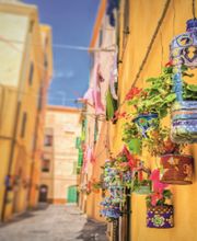 Autocars Marti-Thomas Voyages Bild 5