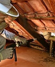 VerEx - Schädlingsbekämpfung Erlangen