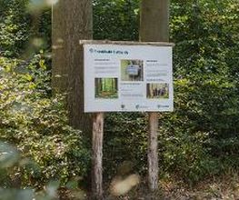 FriedWald Ostheide Bild 2