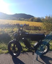 LM FatBikes image 12