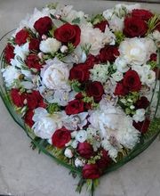 Maison NECTOUX Fleurs et nature image 17