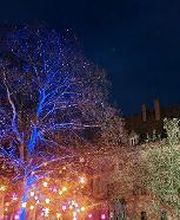 ACLS Lasershow und Lichtkunst Bild 16