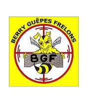 Berry Guêpes Frelons image 2