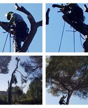 Evtp Jardins EURL image 20