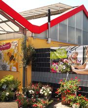 Pflanzencenter Dill Bild 1