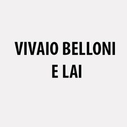 Vivaio Belloni e Lai logo