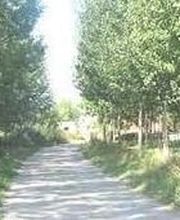 Casa Josefina imagen 4