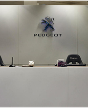 Peugeot Auto - Herold Bild 8