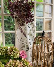 Chez bounette image 5