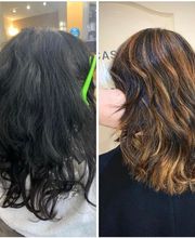 Le Caméléon Coiffure image 2