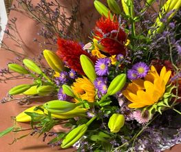 Les Petites Fleurs Modèles image 4