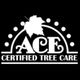 ACE Certified Tree Care