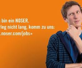 Noser Engineering AG Bild 8