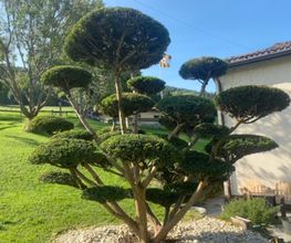 Rufener Jardins Bild 3