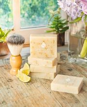 SEED FOREVER image 10