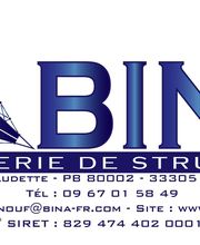 Bina image 2