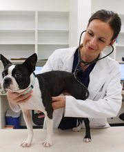 Aspen Creek Veterinary Clinic image 5