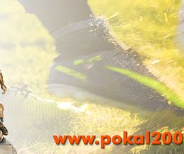 Pokal 2000 GmbH Bild 2