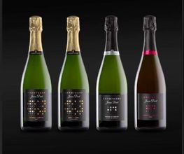 Champagne Jean Diot image 3