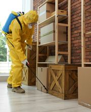 business pest control