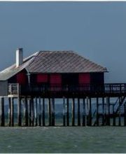 Gauffre Nathalie image 1