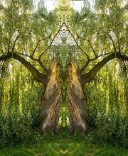 Das Fotostudio Norbert Schade Bild 4