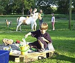 Ferienhof Bruns Bild 13