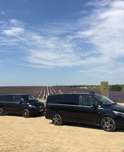 Provence Cab image 8