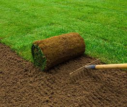 Bm Gartenservice Bild 4