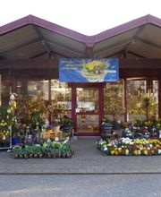 Hospenthal - Kägi AG Bild 4